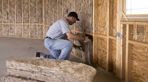 Professional Insulation Services in Seaford, DE